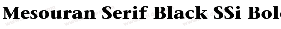 Mesouran Serif Black SSi Bold Italic字体转换